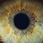 The secrets of how to maintain eye health in the digital era