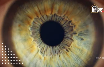 The secrets of how to maintain eye health in the digital era