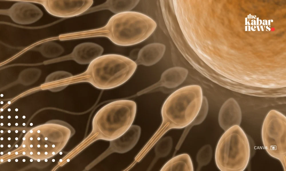 Male fertility is not just about count but sperm quality, Oxford study says