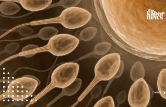Male fertility is not just about count but sperm quality, Oxford study says