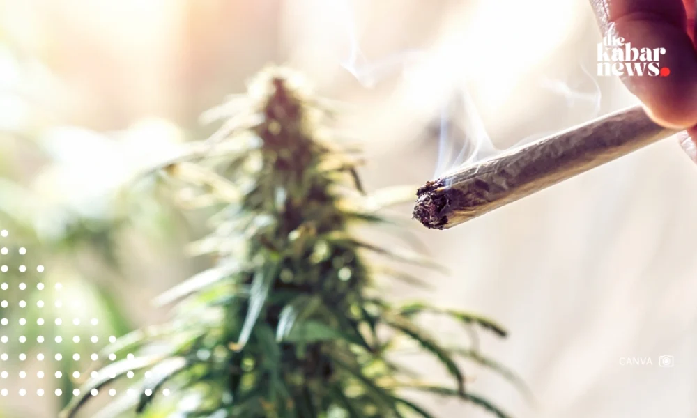 Study: Links weed and tobacco use to brain structure changes