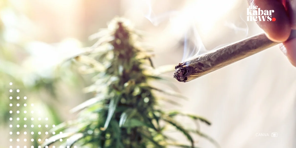 Study: Links weed and tobacco use to brain structure changes