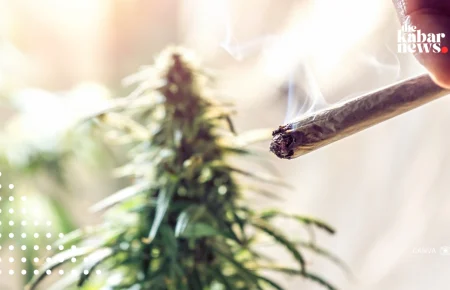 Study: Links weed and tobacco use to brain structure changes