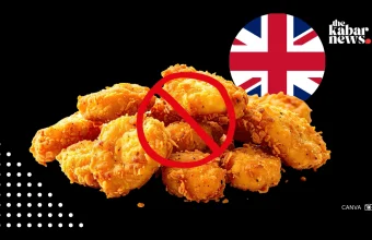 UK to ban junk food in schools as government targets rising child obesity