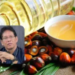 Indonesia investigates palm oil exporters over alleged under-invoicing practices