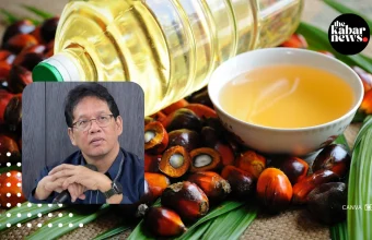 Indonesia investigates palm oil exporters over alleged under-invoicing practices