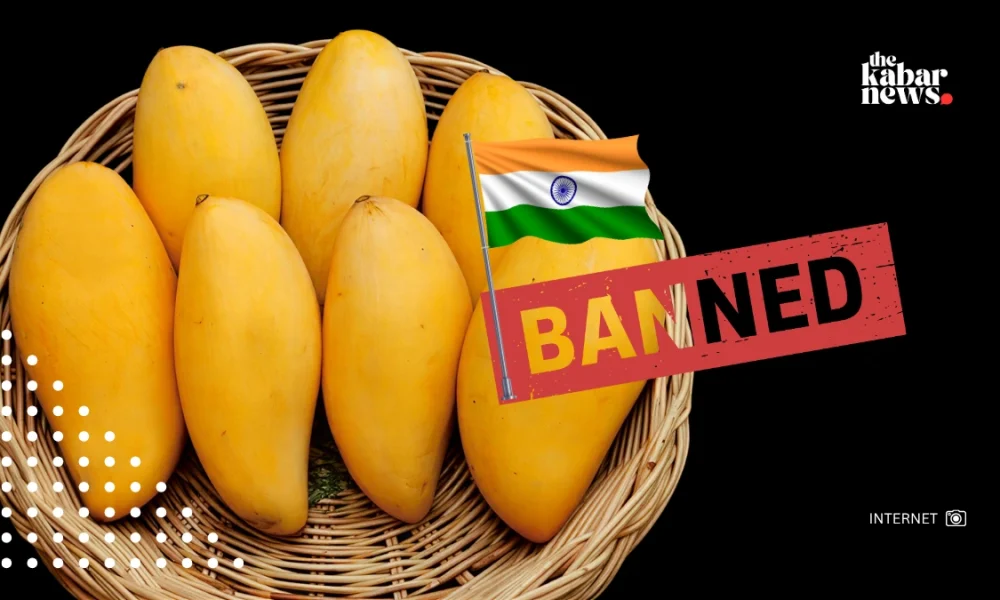 Japan halts Indian mango imports for 2026 after inspection findings
