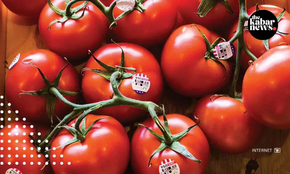 Rising tomato prices become symbol of America’s growing cost-of-living crisis