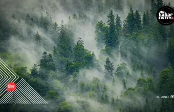 Deforestation in Indonesia linked to thousands of premature deaths, new study warns