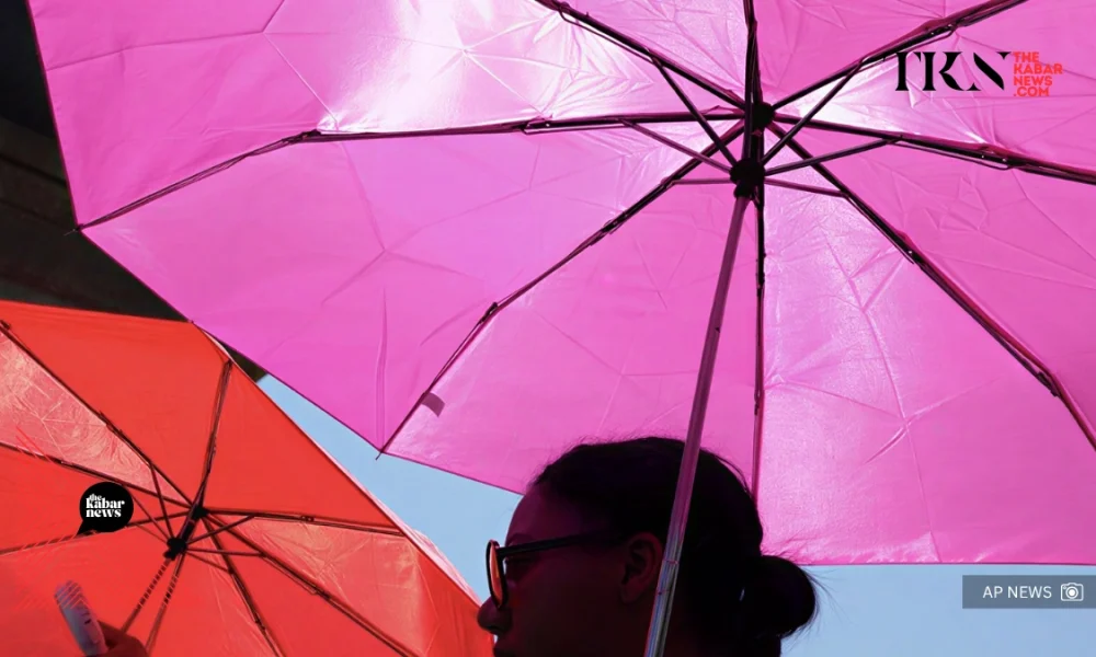 Europe’s record-breaking heatwave highlights the human face of climate change