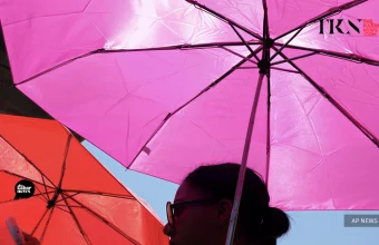 Europe’s record-breaking heatwave highlights the human face of climate change