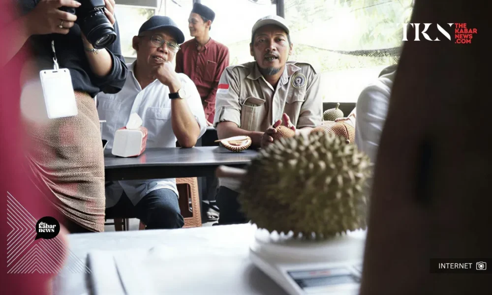 West Kalimantan Durian varieties gain market spotlight | The Kabar News