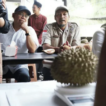 West Kalimantan Durian varieties gain market spotlight | The Kabar News
