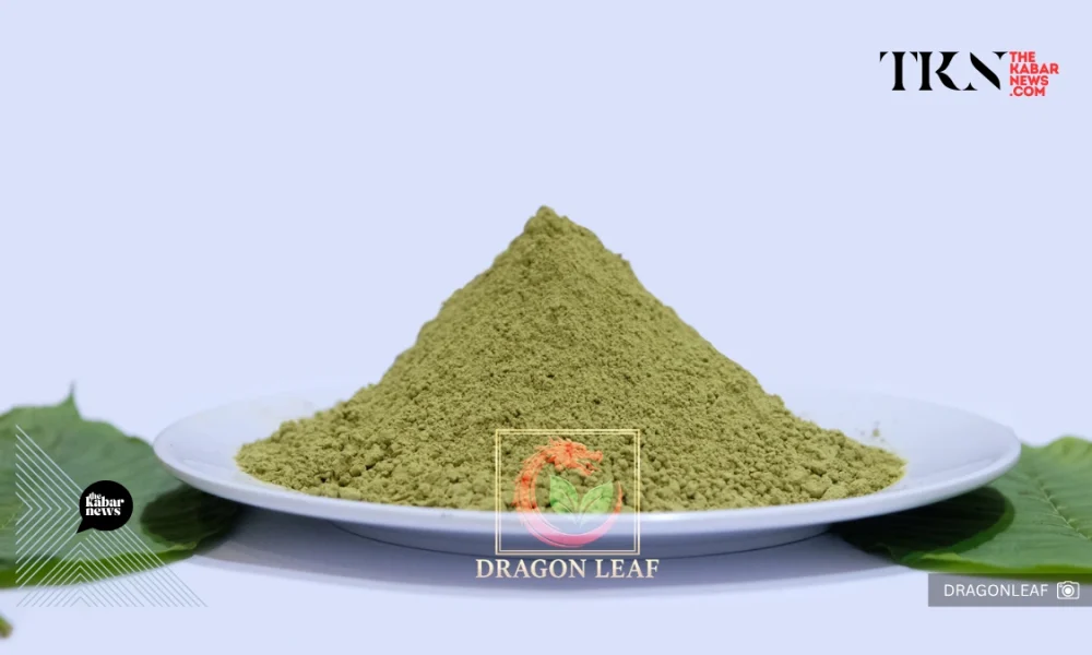 West Kalimantan kratom exports rise as buyers seek a traceable supply | The Kabar News