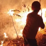 BNPB deploys 39 helicopters as wildfires spread | The Kabar News