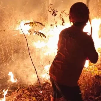 BNPB deploys 39 helicopters as wildfires spread | The Kabar News