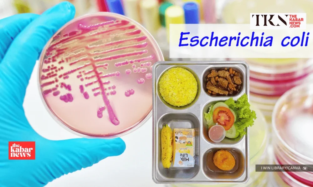 Indonesia finds E. coli in free meals food samples | The Kabar News