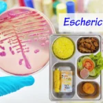 Indonesia finds E. coli in free meals food samples | The Kabar News