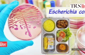 Indonesia finds E. coli in free meals food samples | The Kabar News
