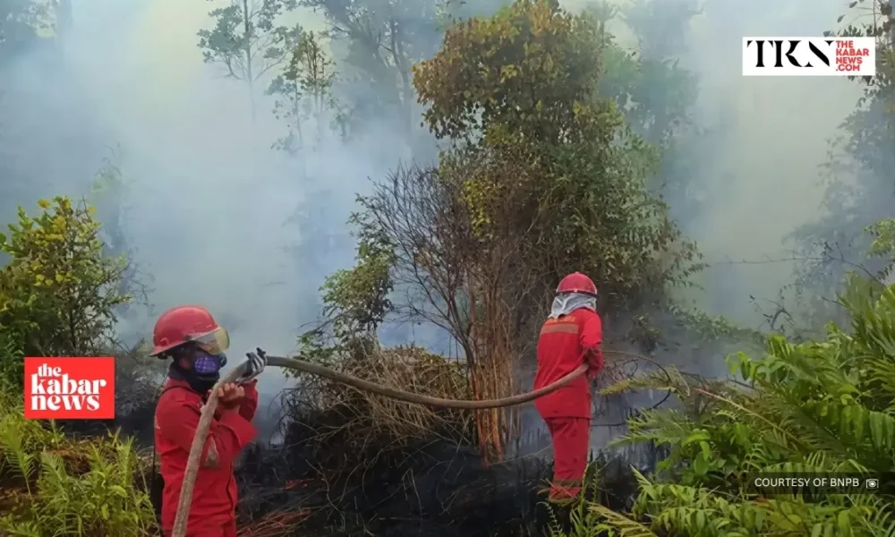 Indonesia sanctions six firms over Kalimantan fires | The Kabar News