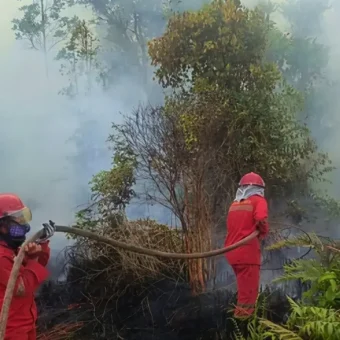 Indonesia sanctions six firms over Kalimantan fires | The Kabar News
