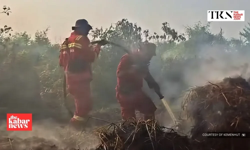 Kalimantan fires renew scrutiny of captive coal | The Kabar News