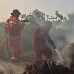 Kalimantan fires renew scrutiny of captive coal | The Kabar News