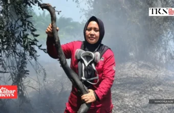 Ketapang wildfires kill pangolins and threaten wildlife | The Kabar News