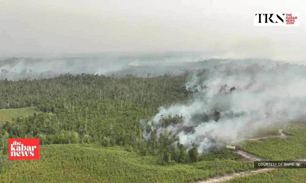 Land-burning rule sparks debate in West Kalimantan | The Kabar News