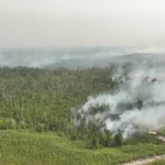 Land-burning rule sparks debate in West Kalimantan | The Kabar News