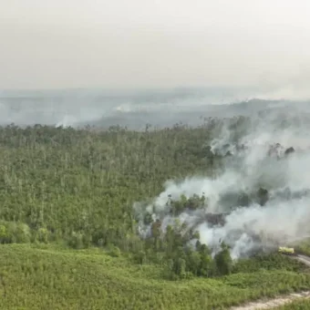 Land-burning rule sparks debate in West Kalimantan | The Kabar News