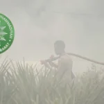 Muhammadiyah demands probe as Kalbar fires escalate | The Kabar News