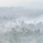 Pontianak reports 5–10% rise in respiratory cases | The Kabar News