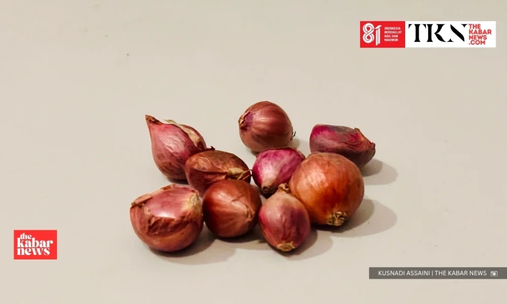 Prabowo’s Rp700,000 onion wage claim faces check | The Kabar News