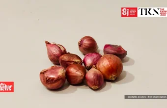 Prabowo’s Rp700,000 onion wage claim faces check | The Kabar News