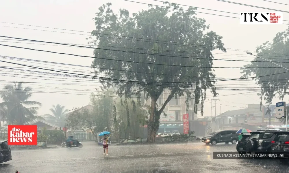 BMKG warns of drought despite West Kalimantan rain outlook | The Kabar News