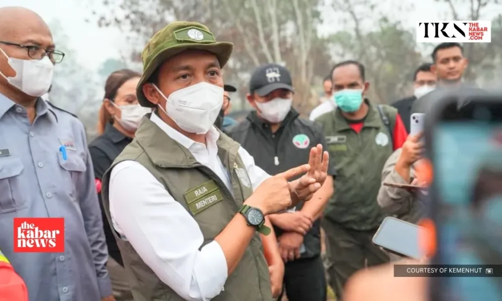 Forestry Ministry freezes five permits in West Kalimantan | The Kabar News