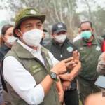 Forestry Ministry freezes five permits in West Kalimantan | The Kabar News
