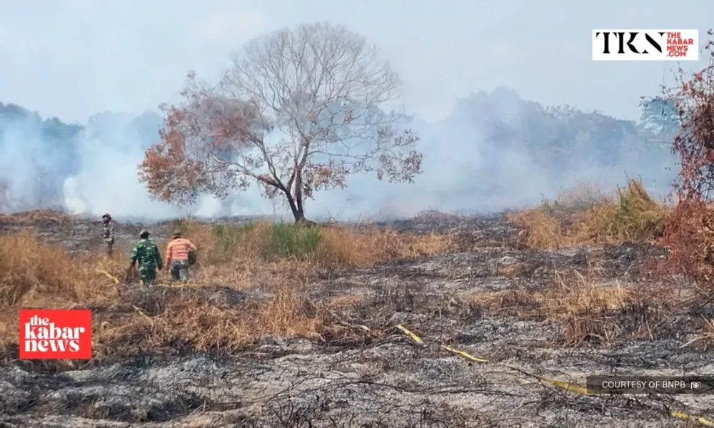 Forestry Ministry seeks Rp4.68 trillion more for 2027 | The Kabar News
