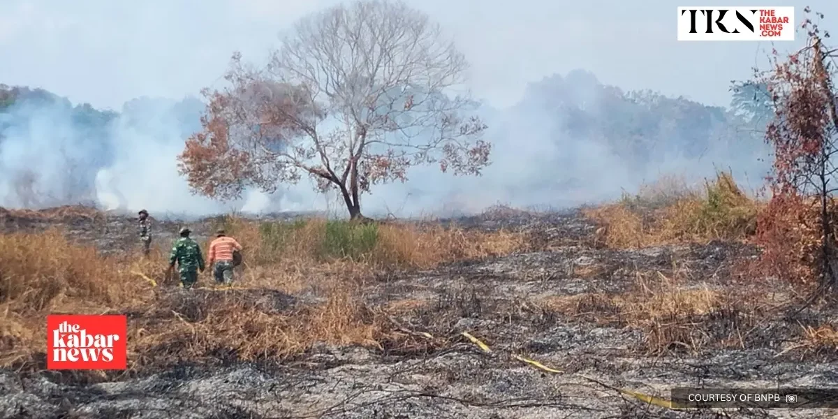 Forestry Ministry seeks Rp4.68 trillion more for 2027 | The Kabar News