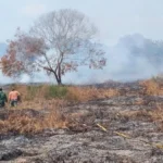 Forestry Ministry seeks Rp4.68 trillion more for 2027 | The Kabar News
