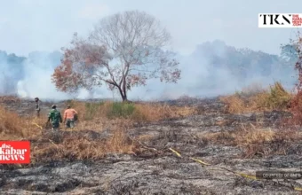 Forestry Ministry seeks Rp4.68 trillion more for 2027 | The Kabar News