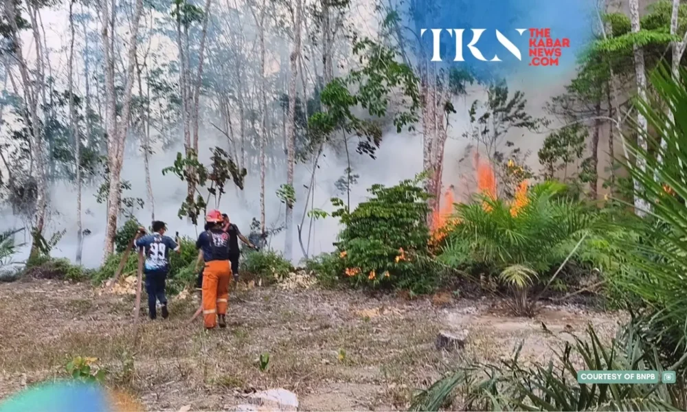 Kayong Utara details use of Rp20 billion wildfire aid funds | The Kabar News
