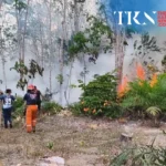 Kayong Utara details use of Rp20 billion wildfire aid funds | The Kabar News