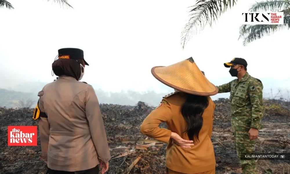 Landak regent leads response to 50-hectare fire | The Kabar News