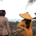Landak regent leads response to 50-hectare fire | The Kabar News