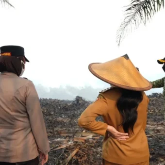 Landak regent leads response to 50-hectare fire | The Kabar News