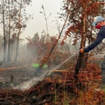 Palangka Raya fire volunteers await two months’ pay | The Kabar News