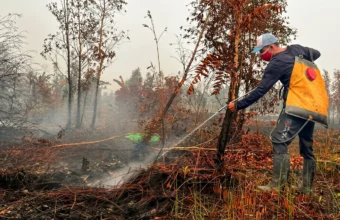 Palangka Raya fire volunteers await two months’ pay | The Kabar News