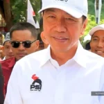 Survey finds limited interest in PSI despite Jokowi tour | The Kabar News